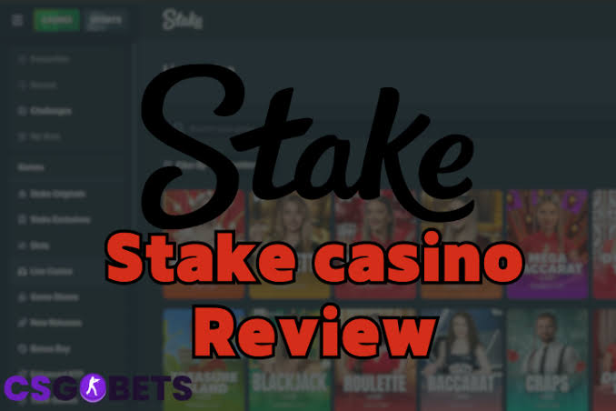 Stake Casino site 